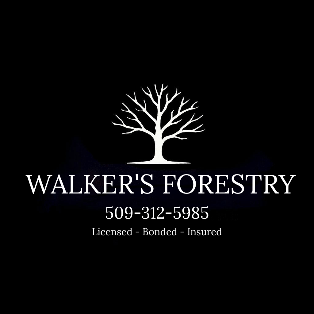 walkersforestry.com