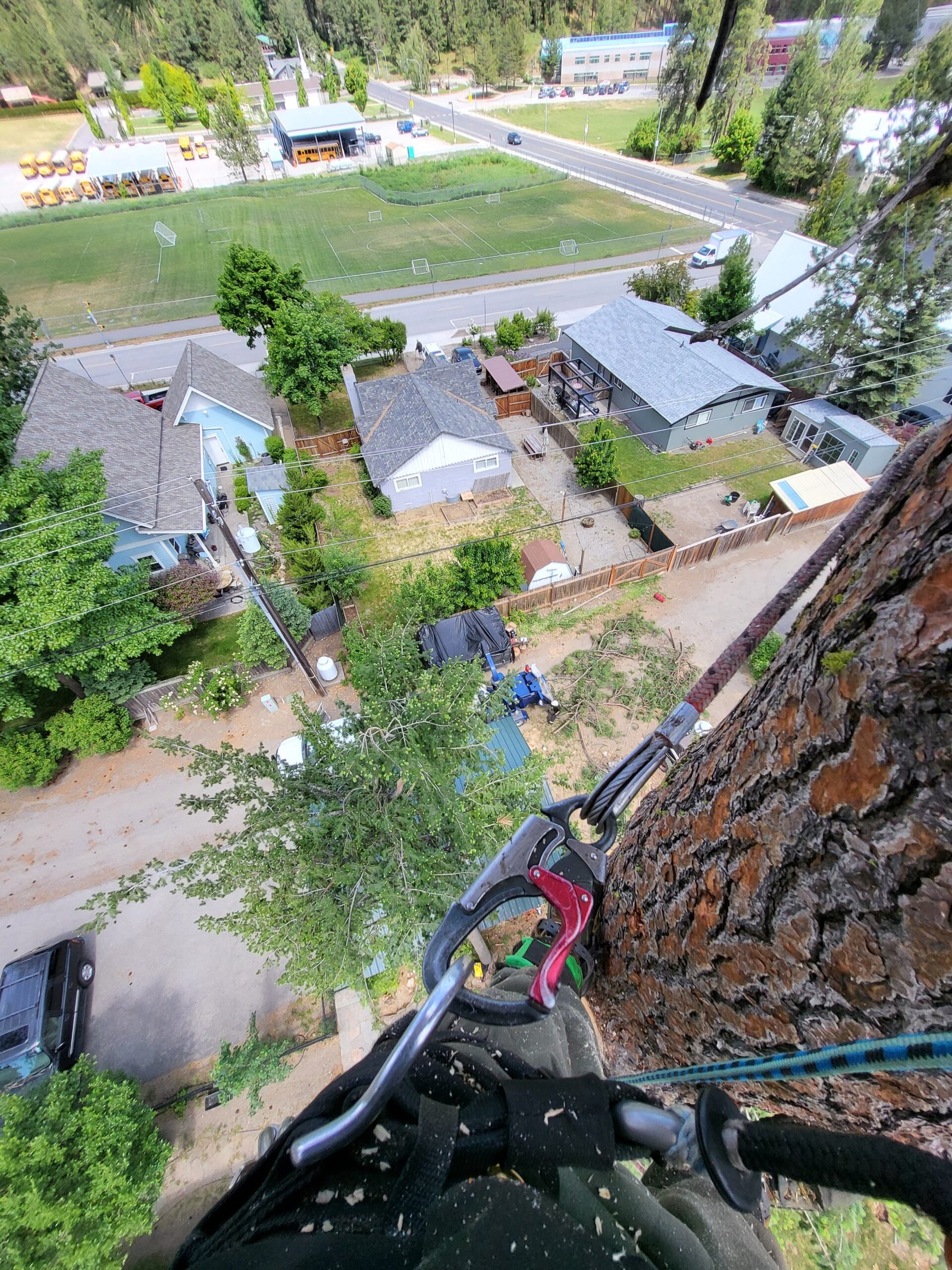 20260519 124346 (1)